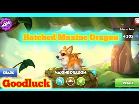 Hatched Maxine Dragon✨|| My 4th Primal || 4th Primal Event || Goodluck. [Dragon Mania Legends]