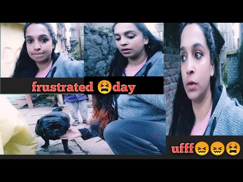 Tired Day with my Dog || shiv latika