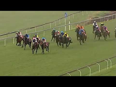 Summer Pudding - 2020 World Sports Betting Gauteng Summer Cup