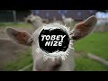 Rian - Schwarzes Schaf (Ziegen Song) (TOBEY NIZE REMIX)