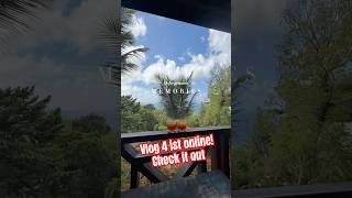 #caribbeancruise #cruiselovers #cruiseship #cruisevibes