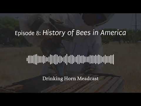 Meadcast - Episode #8 - History of Bees in America