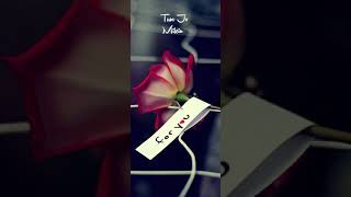 Download lagu Aisa Deewana Hua Hai Ye Dil Whatsapp Status Full Screen... mp3