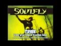 my memories soulfly 