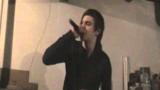 The Dying Hymn - The Color Morale [Vocal Cover]