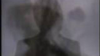 U-MV027 - Malcolm McLaren - Revenge of the Flowers