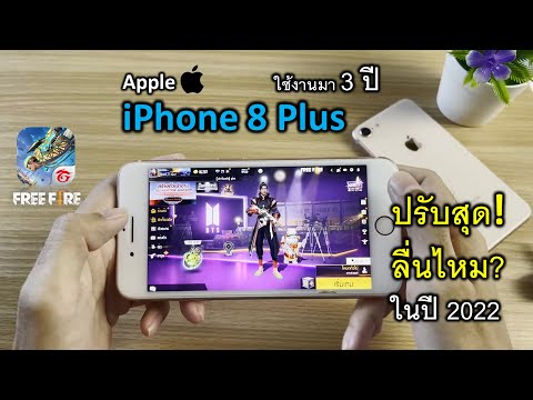 ฟีฟาย