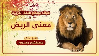 معنى الربض | الشيخ د. مصطفى مخدوم | فوائد وروائع اللغة العربية image