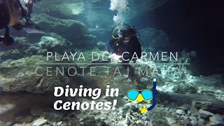 Cenotes - Scuba Diving in Mexico - Tajma Ha Cenote - Caverns, Caves, and Fresh Crystal Clear Water.