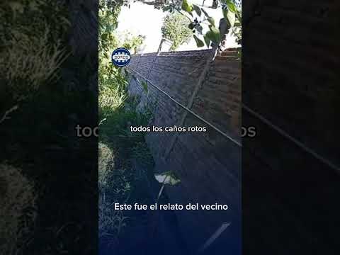 Robo de cables en Colonia Avellaneda #Shorts