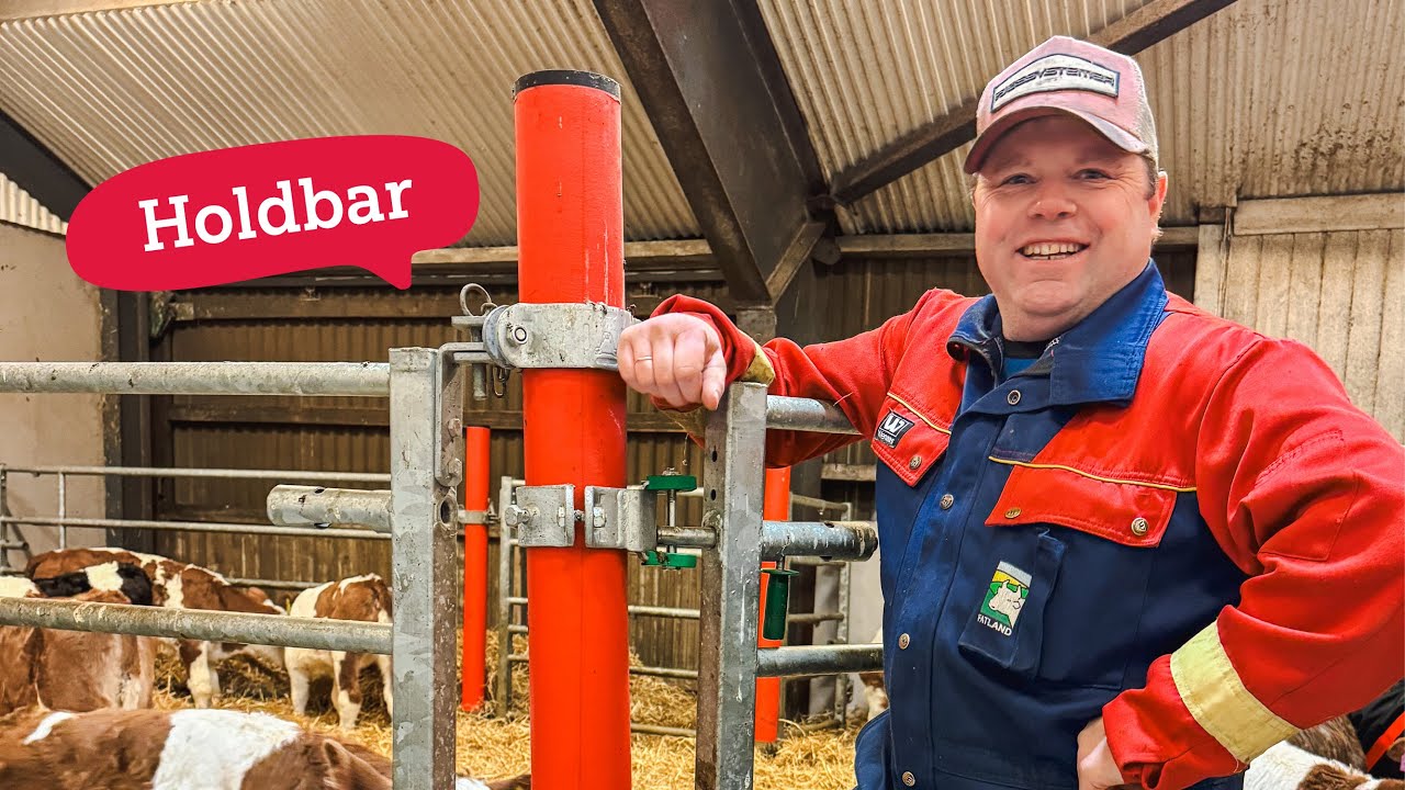 Holdbare dyr og fjøs hos Anette og Roy Kenneth Håland