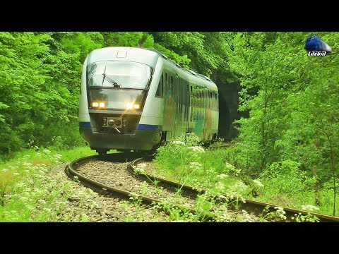 Goarna Mitralieră/Machine Gun Horn By Desiro DMU in Defileul Crișului Repede Canyon- 19 May 2020