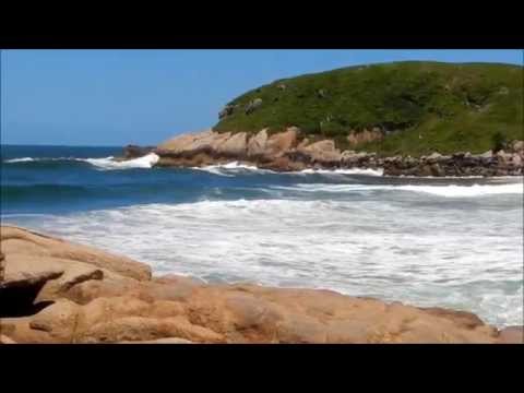The Fate Of Equilibrium - Lacrima Profunde