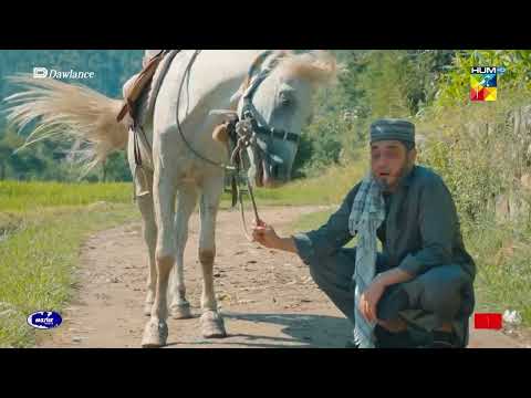 Afeem Par Itna Bura Waqt Nahi Aaya Ghoron Ko Khilaya Jaiye - Sang-e-Mah