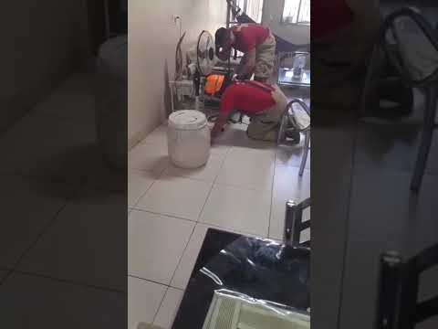Cobra  foi capturada em casa de Boa Vista