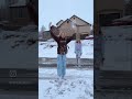 Going To School ️What S Your Favorite Subject In School Viral Dance