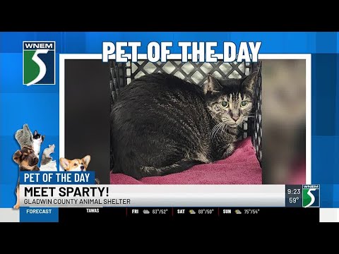 TV5 Pet of the Day: Meet Sparty!