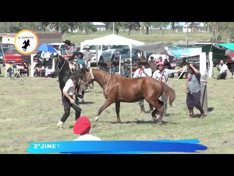 2º FESTIVAL DE JINTEADA Y BAILANTA   VILLA SARALEGUI PROVINCIA DE SANTA FE EL TAPECITO
