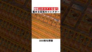 地球上のカブトを全て集める狂気のコレクター