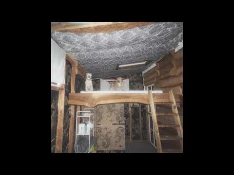 fifty grand & velvetears - do you miss our dog