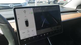 Tesla Model 3 Bug: Backup Camera Black