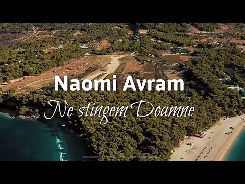 Ne Stingem Doamne - Naomi Avram