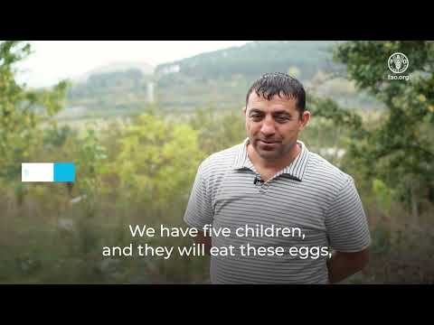 FAO is supporting refugee households in Armenia to build food security and economic independence