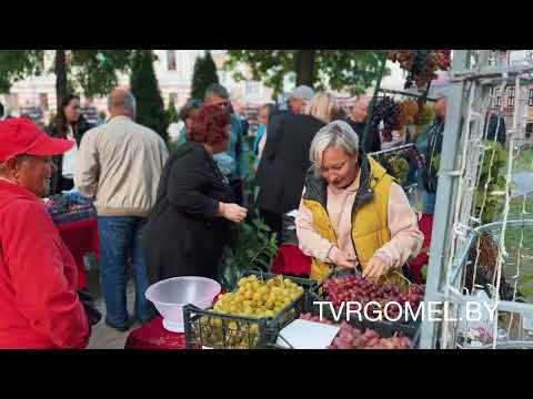 Фестиваль винограда проходит в Гомеле видео