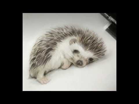 *FREE* BLADEE x RIPSQUAD x YUNG LEAN TYPE BEAT | "ALPHA" prod. shinju x tamino