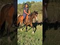 Poney 4 ans pour loisir modéré