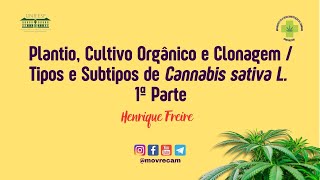24ª aula - Cultivo / Tipos e Subtipos de Cannabis sativa L. - 1ª Parte - Henrique Freire