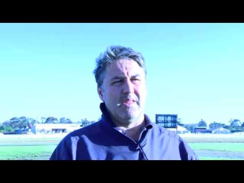 Emirates Stakes Day preview - Anthony Freedman