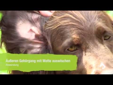 Wie Schmerzen im Hüftgelenk zu behandeln Schmerzen im Nacken Lymphknoten entzündet