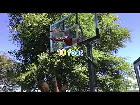 The dunkers dunk