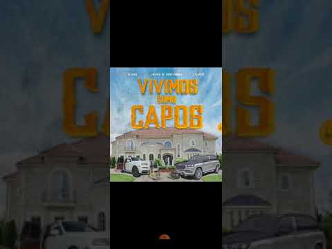 vivimos como capos yubeili x Homer el mero mero x l Gante  audio oficial