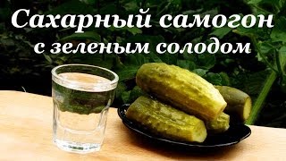 Брага на зеленом солоде и сахаре