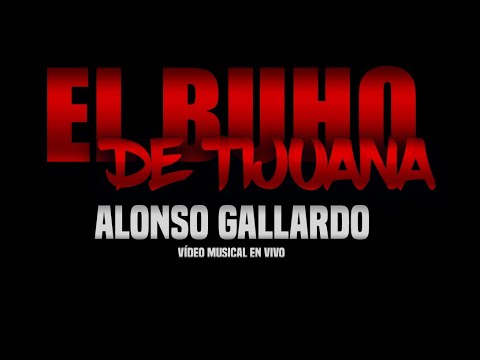 El Búho De Tijuana - Alonso Gallardo (MUSICAL EN VIVO)