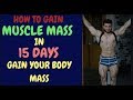 How To Gain Muscle Mass Fast | How To Gain Body Weight | How To Gain Weight Fast