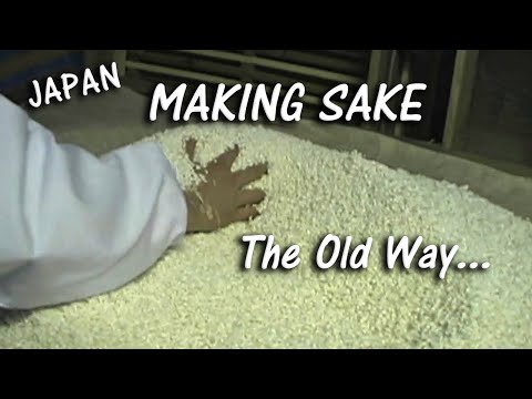 download lagu mp3 mp4 Sake Koji Mold, download lagu Sake Koji Mold gratis, unduh video klip Sake Koji Mold