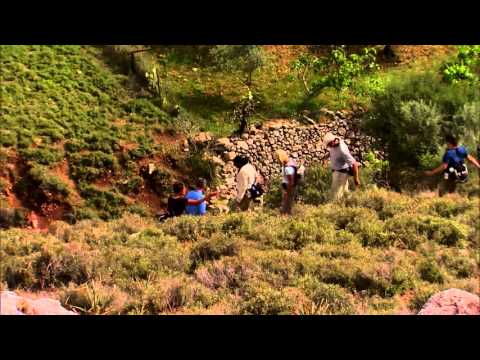 With All Your Heart by Ray Vander Laan - Trailer