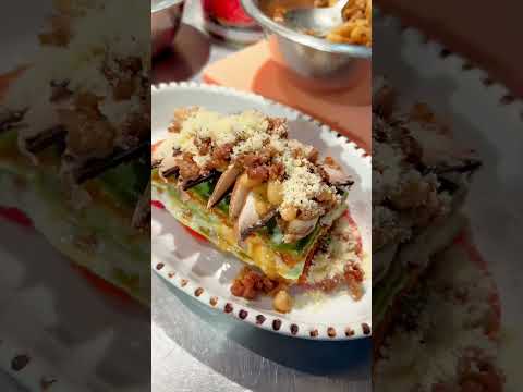 ラザニアを培養する時期