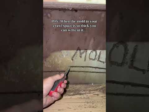 Mold In Your Crawl Space?