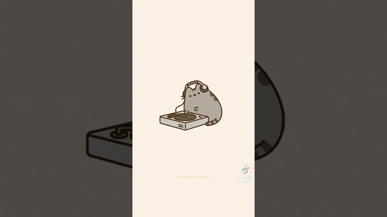 DJ Pusheen