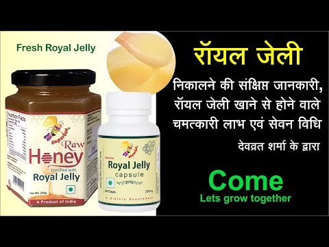 Beeshive Organic Royal Jelly Powder