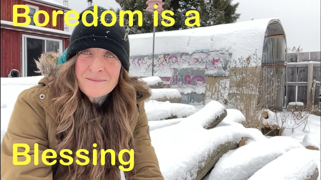 Less Stimulation = More Sensitivity, The Gifts of a Quiet Life