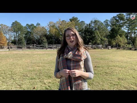 The Battle of Great Bridge: A "Miniature Bunker Hill"