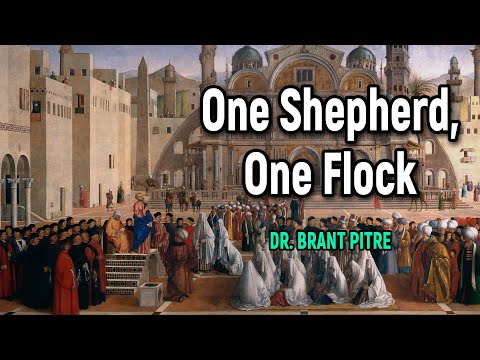 One Shepherd One Flock