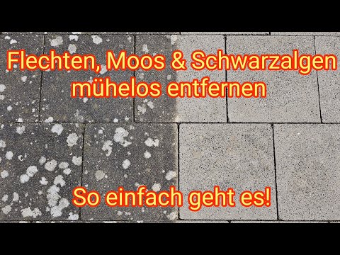 Flechte, Moos & Schwarzalgen entfernen von Terrassen- und Steinplatten, mit Abacus Steinreiniger