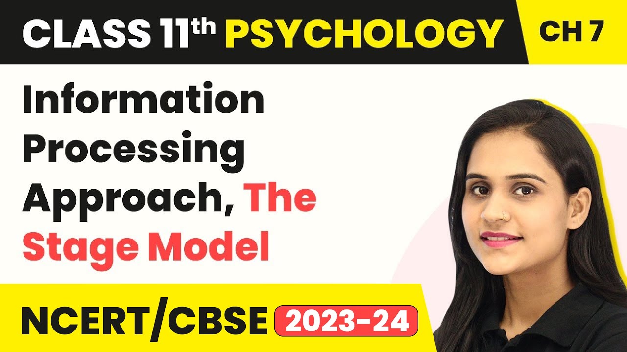 Information Processing Approach, The Stage Model | Class 11 Psychology Chapter 7