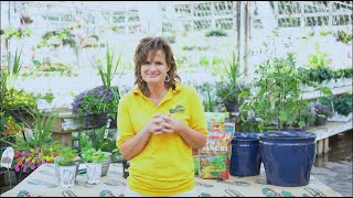Edible Gardening Tips ENGLISH GARDENS